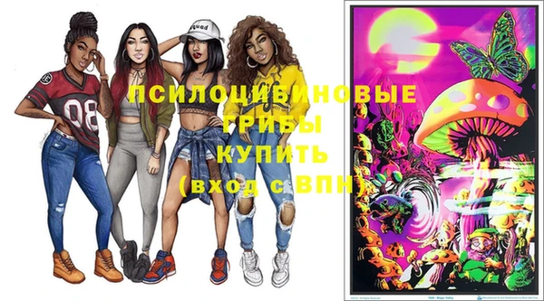 ПСИЛОЦИБИНОВЫЕ ГРИБЫ Алексеевка