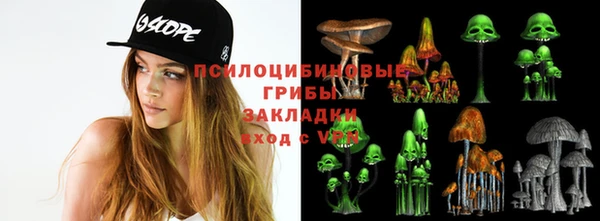 мяу мяу мука Абдулино