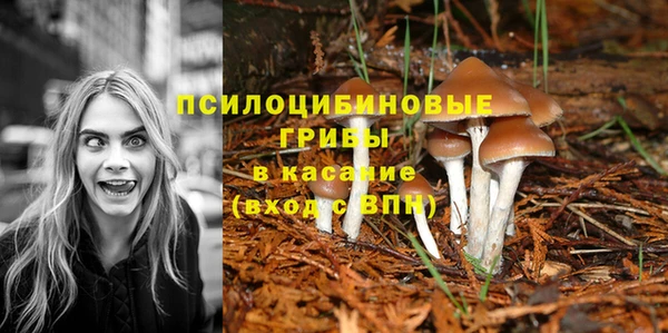 кристаллы Алзамай